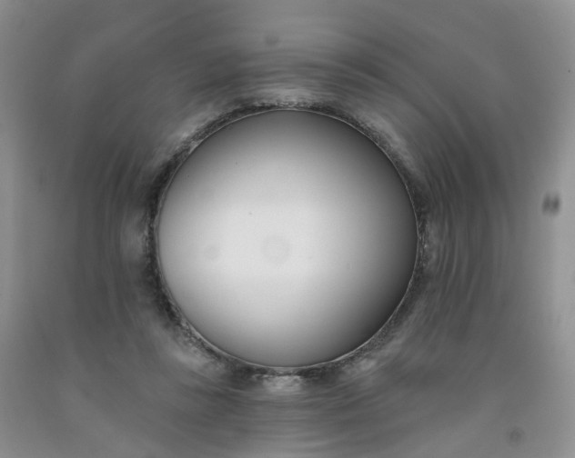 X0000091990355200709201452