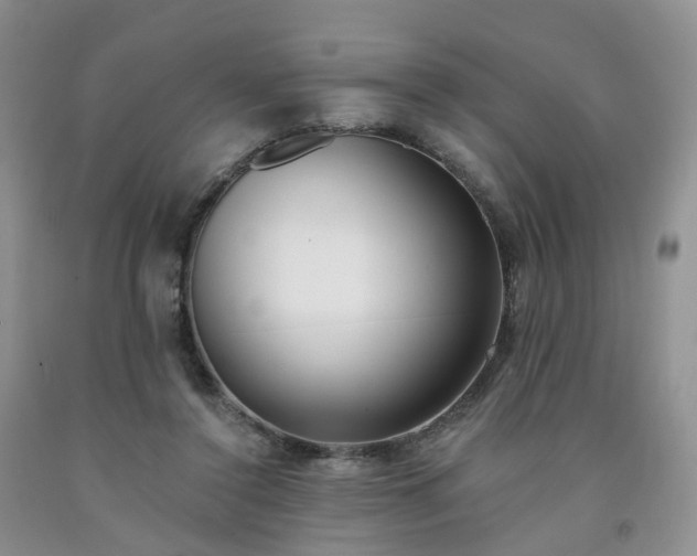 X0000091990356200709201452