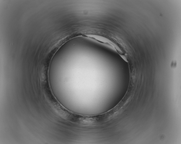 X0000091990359200709201452