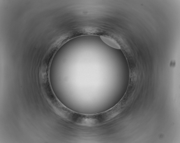X0000091990360200709201452