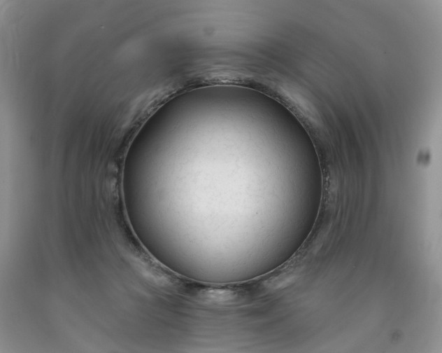X0000091990361200709201452
