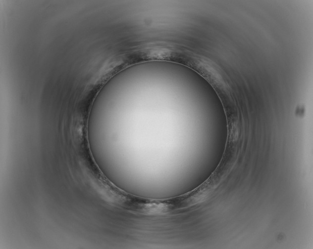 X0000091990363200709201452