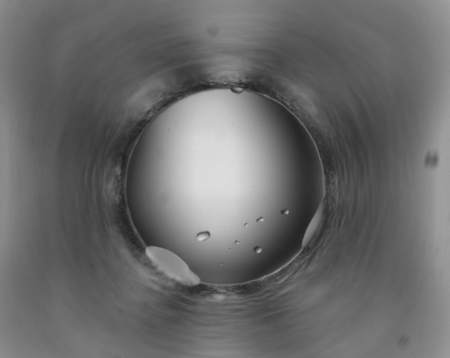 X0000091990364200709201452