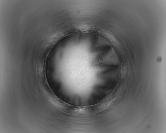 X0000091990365200709201452