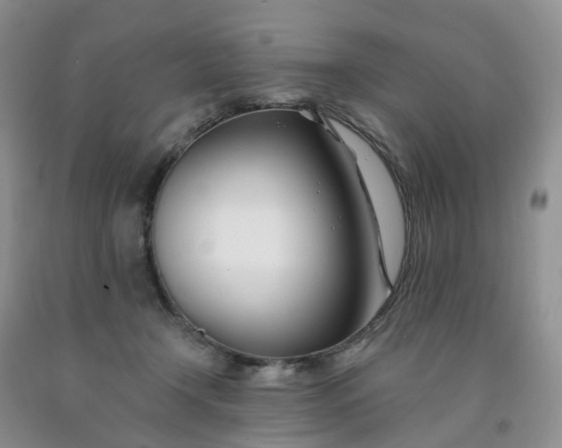 X0000091990366200709201452