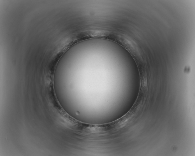 X0000091990367200709201452