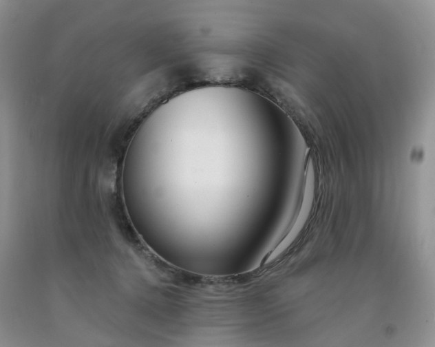 X0000091990368200709201452
