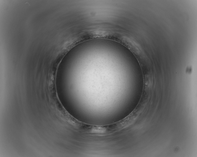 X0000091990369200709201452