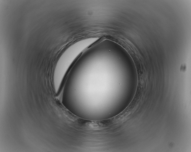 X0000091990372200709201452