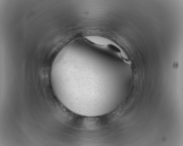 X0000091990373200709201452