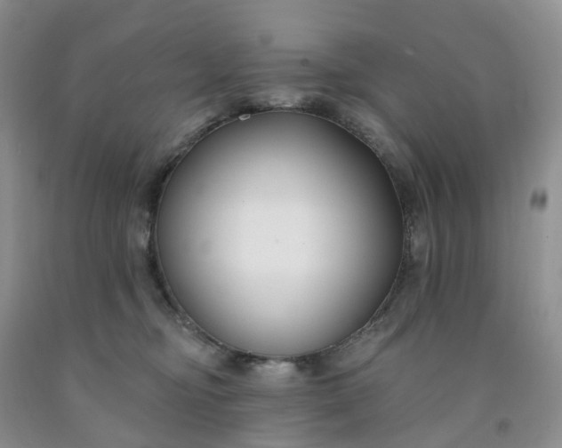 X0000091990374200709201452