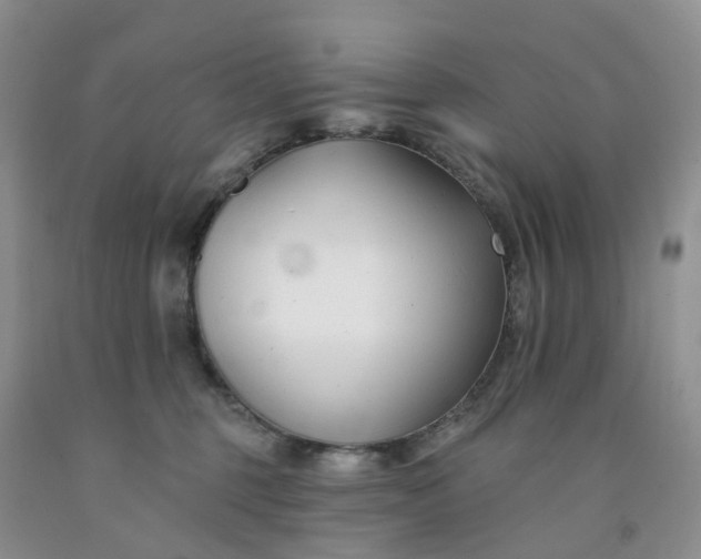 X0000091990375200709201452