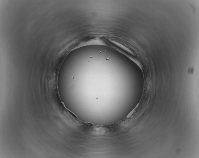 X0000091990376200709201452