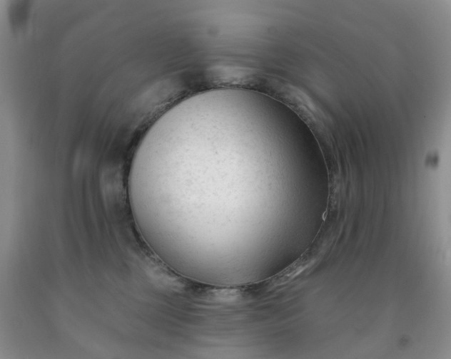 X0000091990377200709201452
