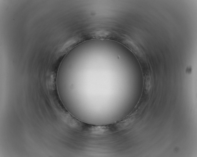 X0000091990378200709201452