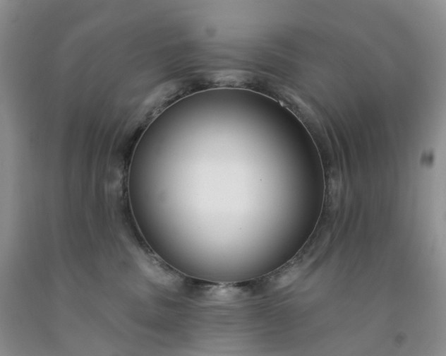 X0000091990379200709201452
