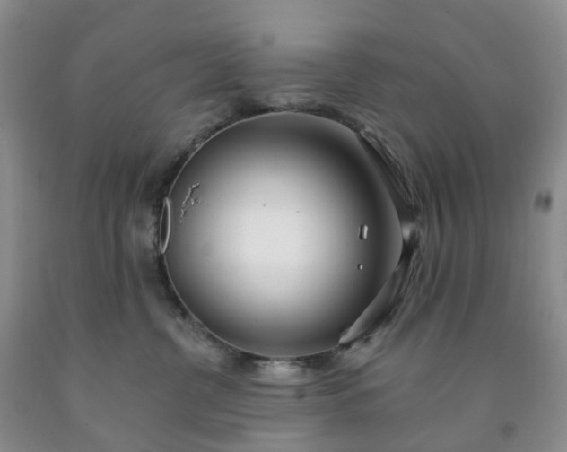X0000091990380200709201452