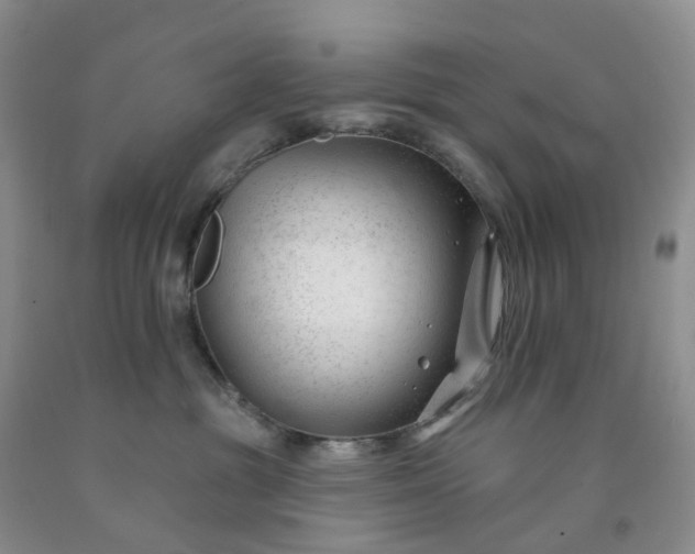 X0000091990381200709201452