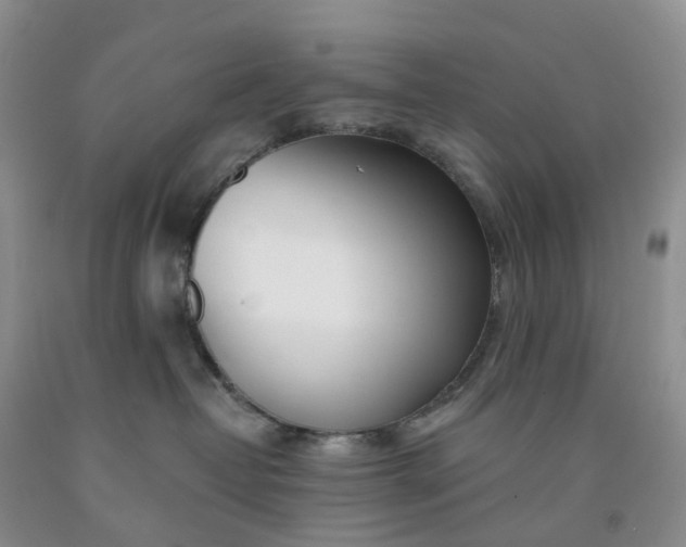 X0000091990382200709201452