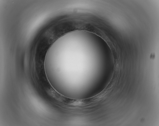 X0000091990383200709201452