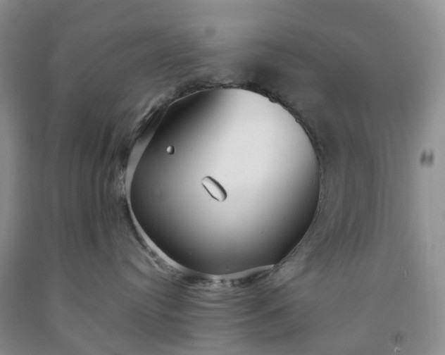 X0000091990384200709201452