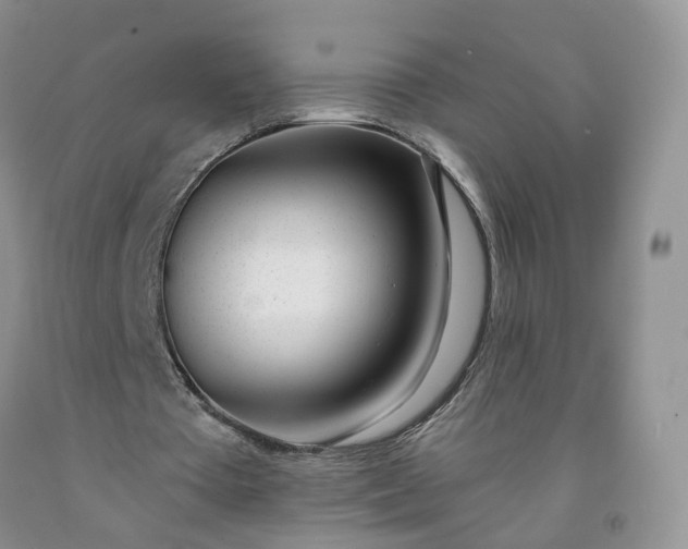 X0000091990385200709201452