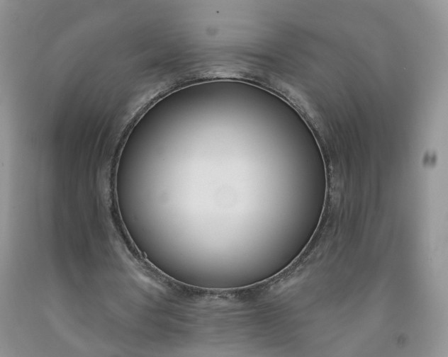 X0000091990386200709201452