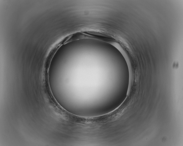X0000091990388200709201452