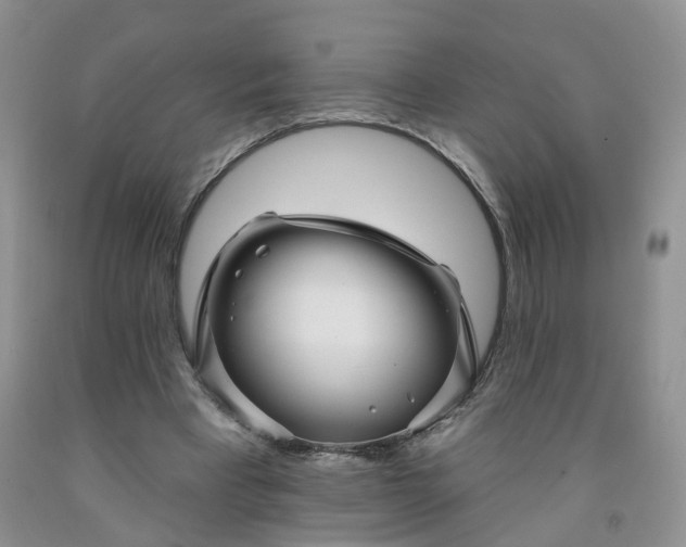 X0000091990393200709201451