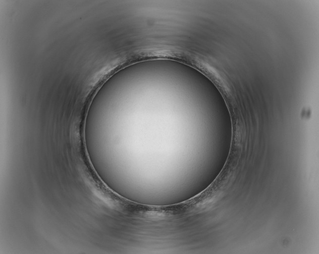 X0000091990394200709201451