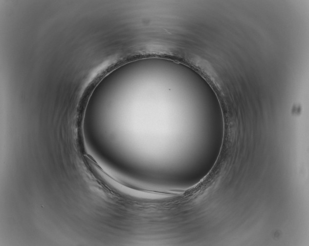 X0000091990395200709201451