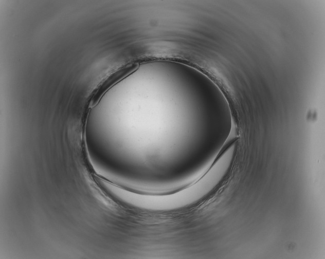 X0000091990397200709201451