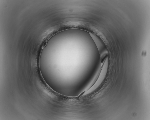 X0000091990399200709201451