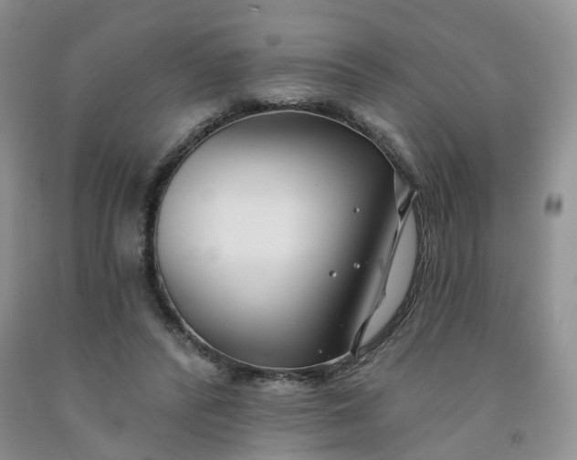 X0000091990400200709201451