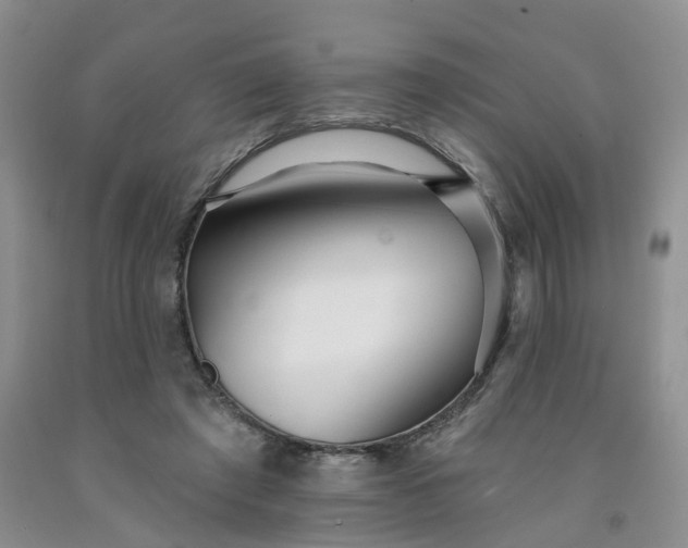 X0000091990401200709201451