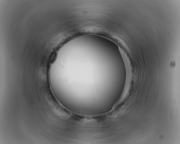 X0000091990403200709201451