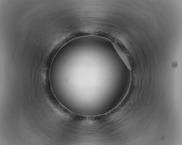 X0000091990404200709201451