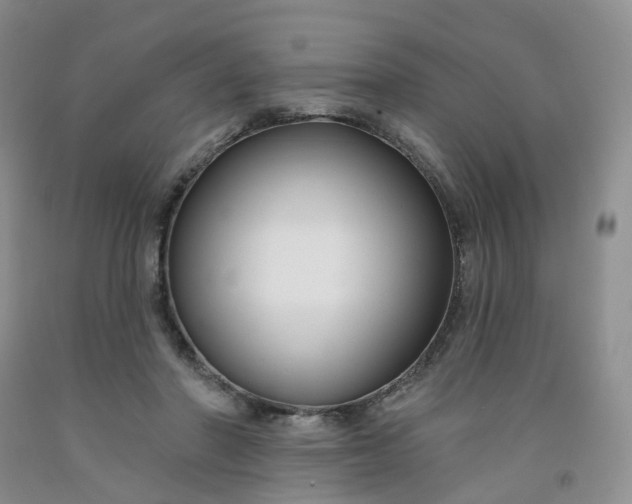 X0000091990406200709201451