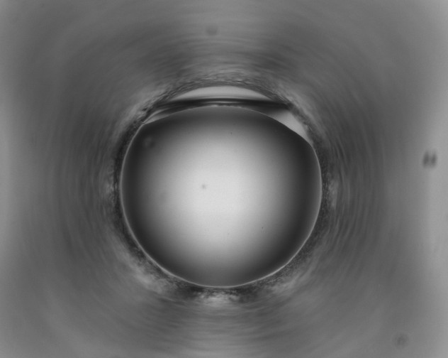 X0000091990407200709201451