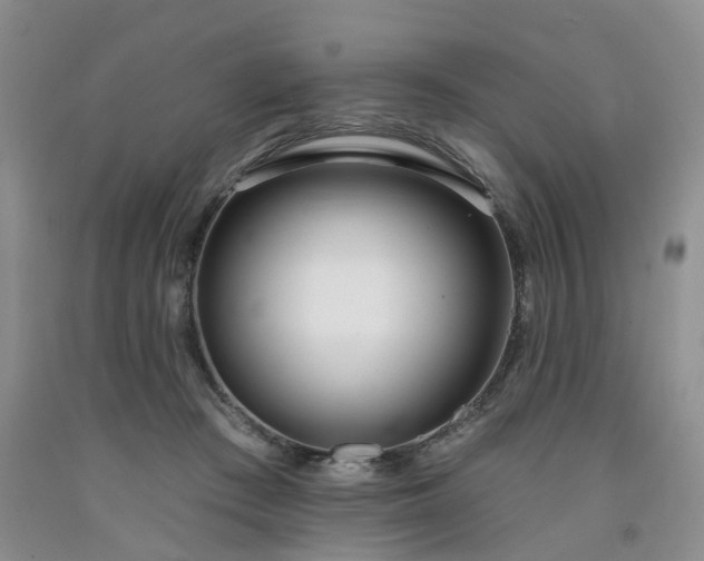 X0000091990409200709201451