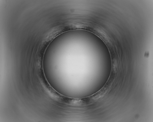 X0000091990410200709201451