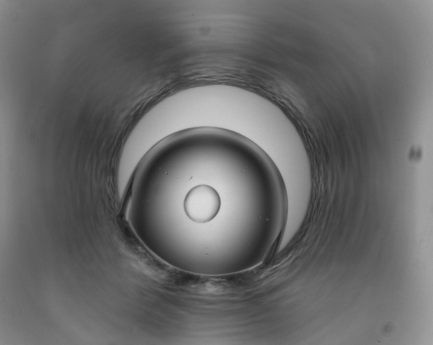 X0000091990412200709201451