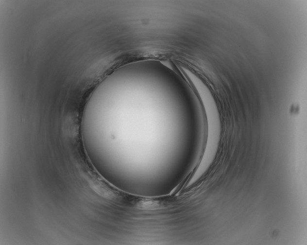 X0000091990413200709201451