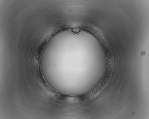 X0000091990415200709201451