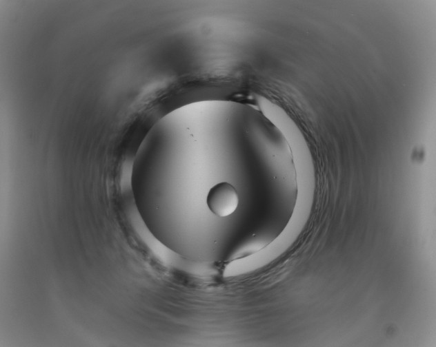 X0000091990416200709201451