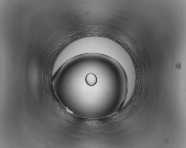 X0000091990417200709201451