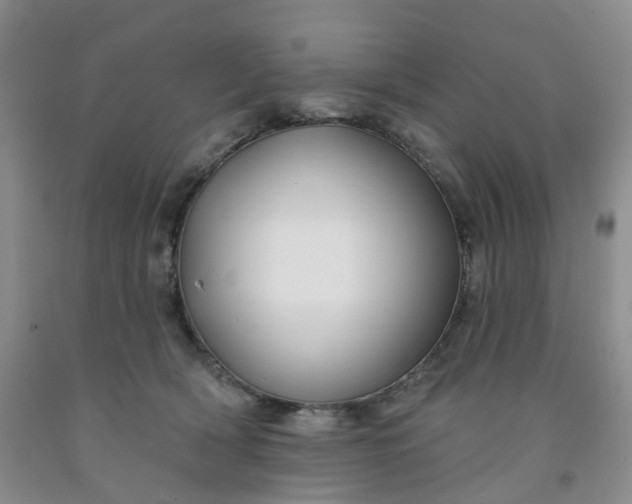 X0000091990418200709201451