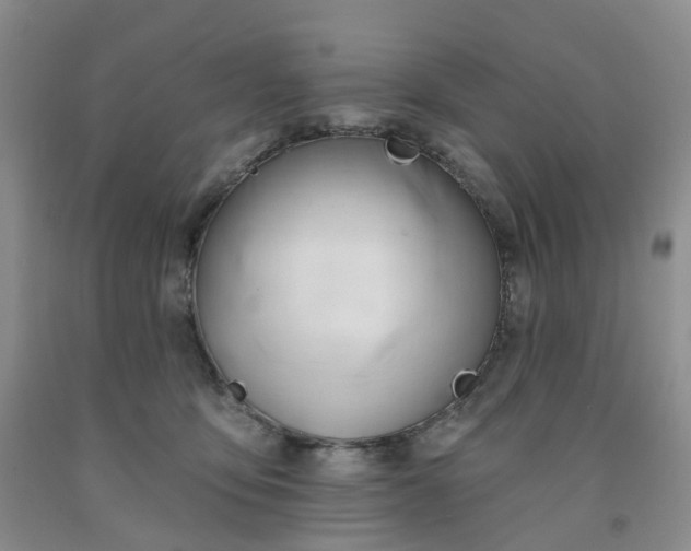 X0000091990419200709201451