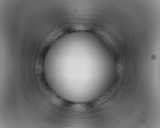 X0000091990422200709201451