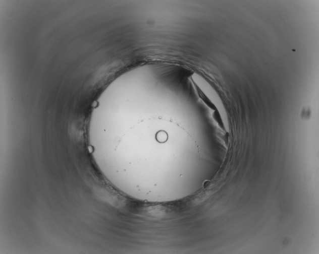 X0000091990423200709201451